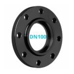 bích thép rỗng dn100